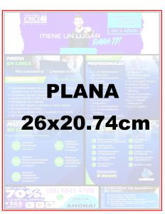 TAMAÑO PIBLICIDAD X 3